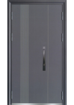 SJTA-2208-子母式入户门