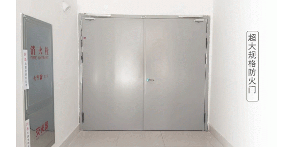 洁净门的类型划分与场景适配指南